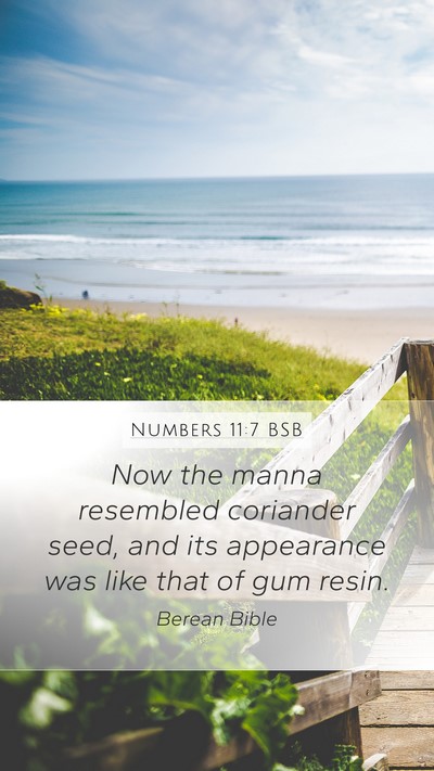 Numbers 11:7 BSB Bible Verse Image
