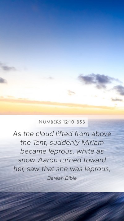 Numbers 12:10 BSB Bible Verse Image