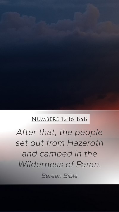 Numbers 12:16 BSB Bible Verse Image