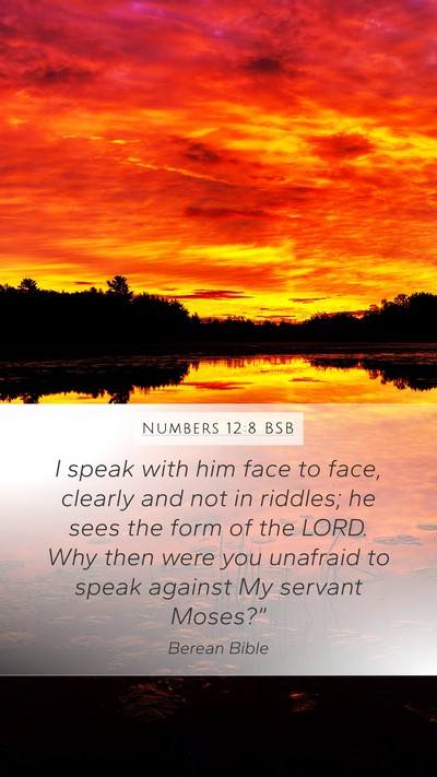 Numbers 12:8 BSB Bible Verse Image