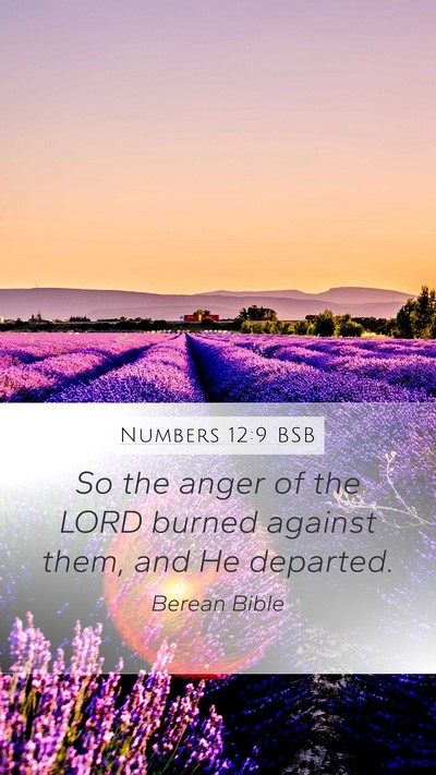 Numbers 12:9 BSB Mobile Phone Wallpaper - So the anger of the LORD burned against them, and - Mobile Bible Verse Wallpaper
