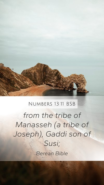 Numbers 13:11 BSB Bible Verse Image