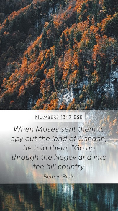Numbers 13:17 BSB Bible Verse Image