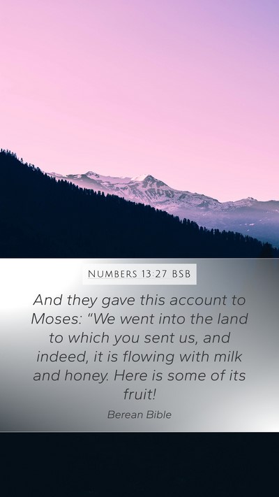 Numbers 13:27 BSB Mobile Phone Wallpaper - And they gave this account to Moses: “We went - Mobile Bible Verse Wallpaper