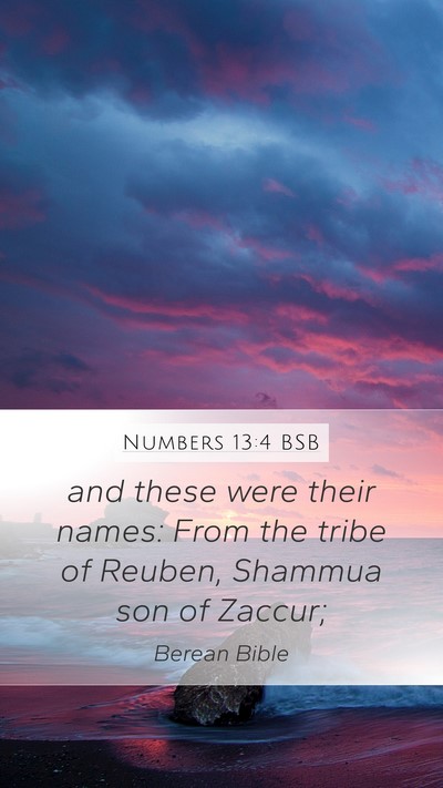 Numbers 13:4 BSB Bible Verse Image