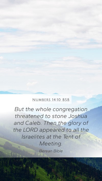 Numbers 14:10 BSB Bible Verse Image