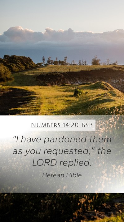 Numbers 14:20 BSB Bible Verse Image