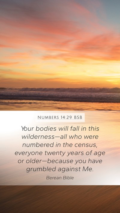 Numbers 14:29 BSB Bible Verse Image