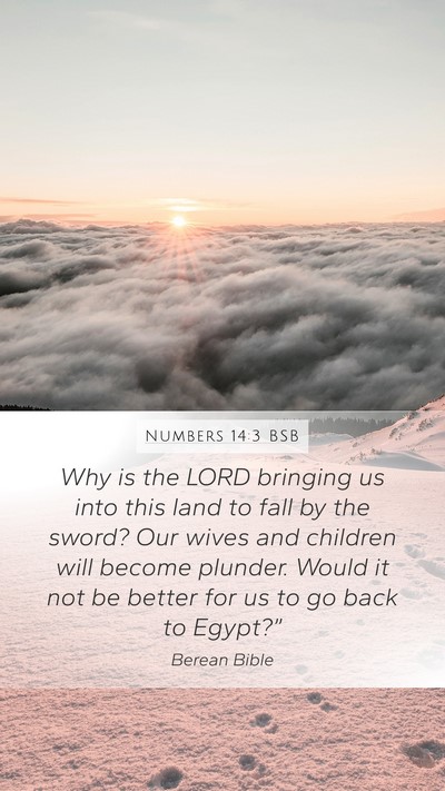 Numbers 14:3 BSB Bible Verse Image