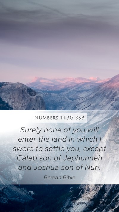 Numbers 14:30 BSB Bible Verse Image