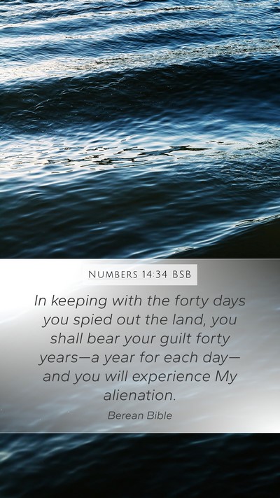 Numbers 14:34 BSB Bible Verse Image