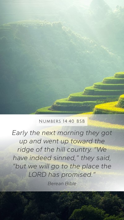Numbers 14:40 BSB Bible Verse Image