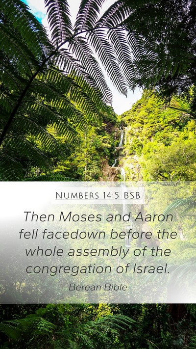 Numbers 14:5 BSB Bible Verse Image