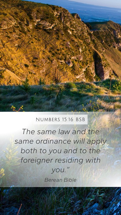 Numbers 15:16 BSB Mobile Phone Wallpaper - The same law and the same ordinance will apply - Mobile Bible Verse Wallpaper