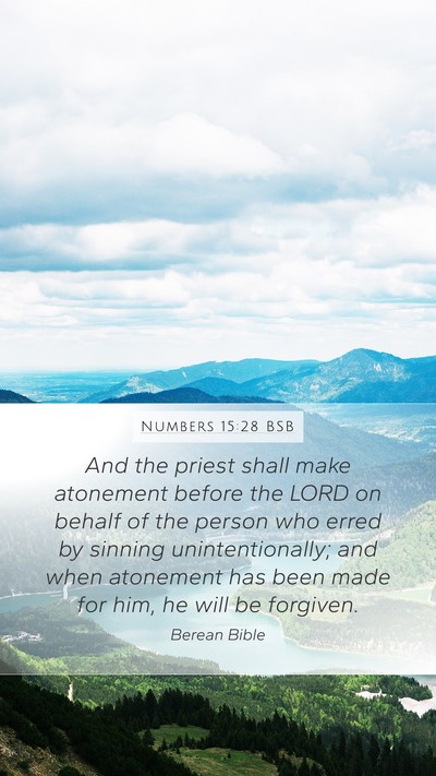 Numbers 15:28 BSB Bible Verse Image