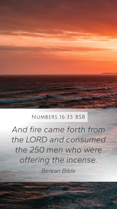 Numbers 16:35 BSB Bible Verse Image