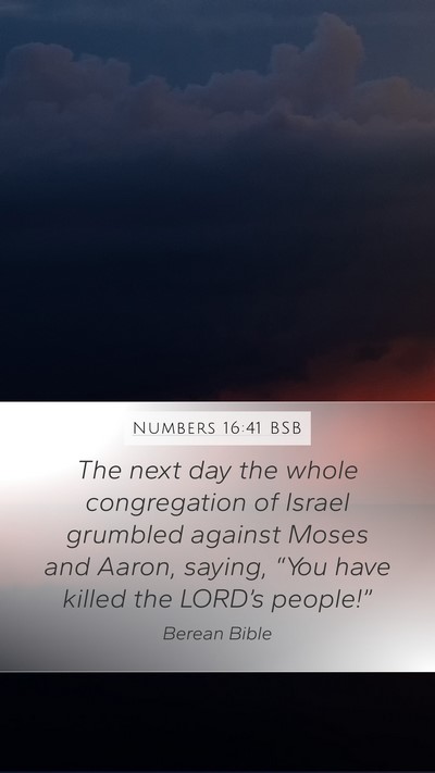 Numbers 16:41 BSB Bible Verse Image