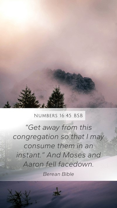 Numbers 16:45 BSB Bible Verse Image