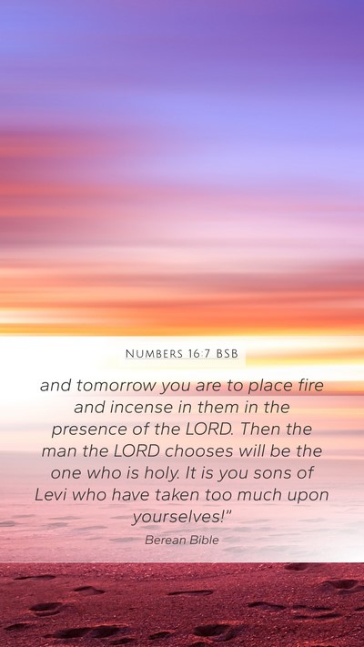 Numbers 16:7 BSB Bible Verse Image