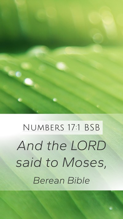 Numbers 17:1 BSB Mobile Phone Wallpaper - And the LORD said to - Mobile Bible Verse Wallpaper