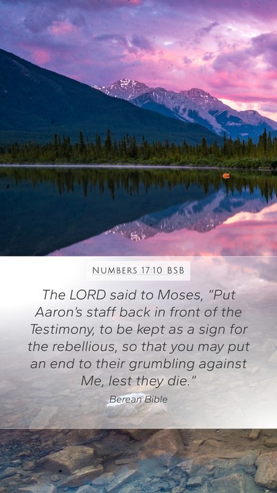 Numbers 17:10 BSB Bible Verse Image