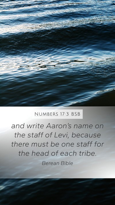 Numbers 17:3 BSB Bible Verse Image