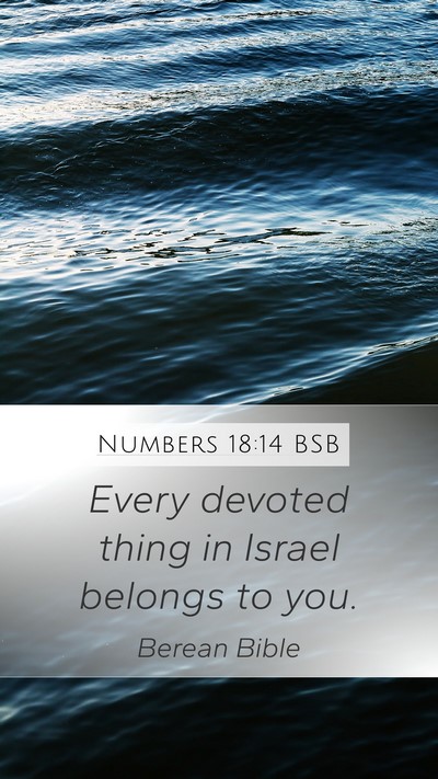 Numbers 18:14 BSB Bible Verse Image