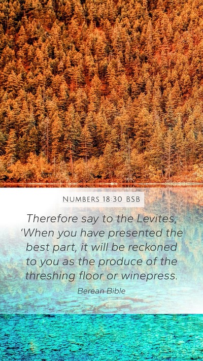 Numbers 18:30 BSB Mobile Phone Wallpaper - Therefore say to the Levites, ‘When you have - Mobile Bible Verse Wallpaper