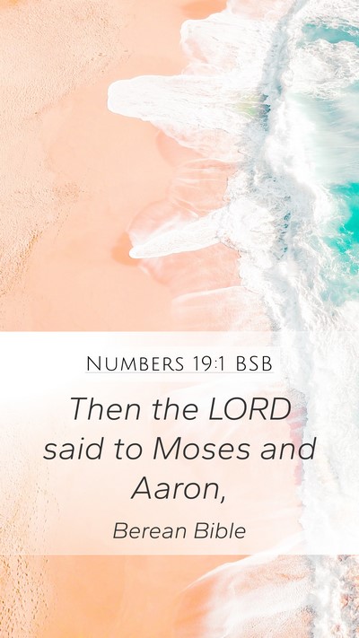 Numbers 19:1 BSB Mobile Phone Wallpaper - Then the LORD said to Moses and - Mobile Bible Verse Wallpaper