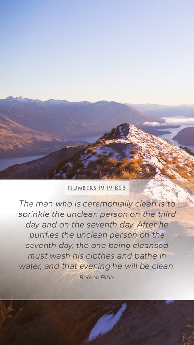 Numbers 19:19 BSB Bible Verse Image
