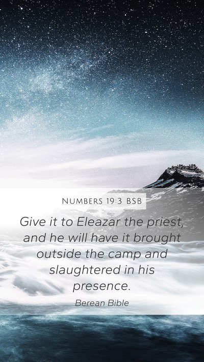 Numbers 19:3 BSB Mobile Phone Wallpaper - Give it to Eleazar the priest, and he will have - Mobile Bible Verse Wallpaper