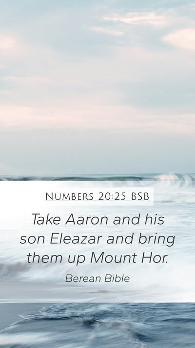 Numbers 20:25 BSB Mobile Phone Wallpaper - Take Aaron and his son Eleazar and bring them up - Mobile Bible Verse Wallpaper