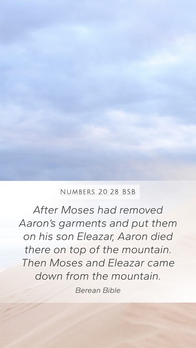 Numbers 20:28 BSB Mobile Phone Wallpaper - After Moses had removed Aaron’s garments and - Mobile Bible Verse Wallpaper