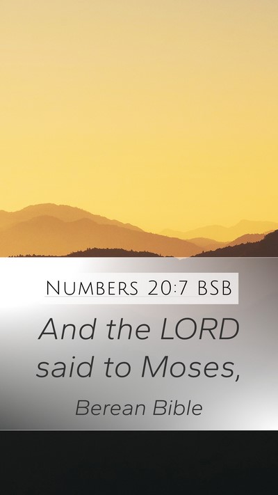 Numbers 20:7 BSB Bible Verse Image