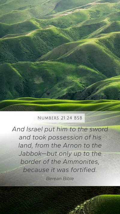 Numbers 21:24 BSB Bible Verse Image