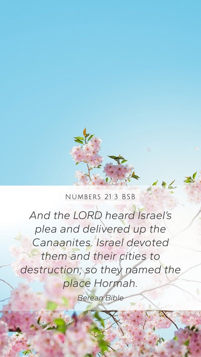 Numbers 21:3 BSB Bible Verse Image