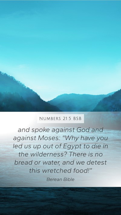 Numbers 21:5 BSB Bible Verse Image