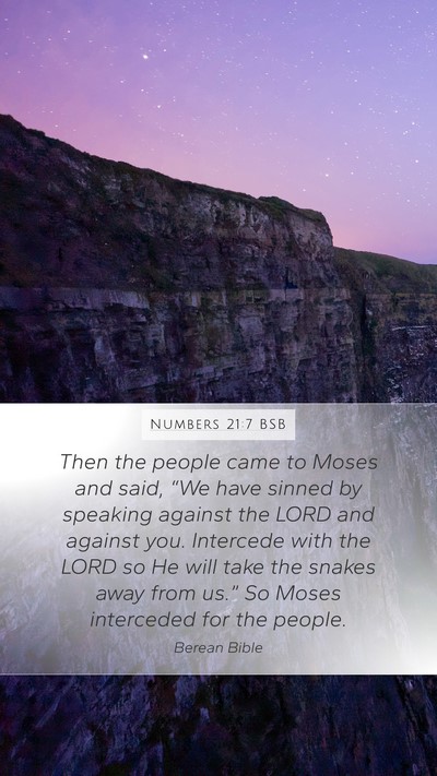 Numbers 21:7 BSB Bible Verse Image