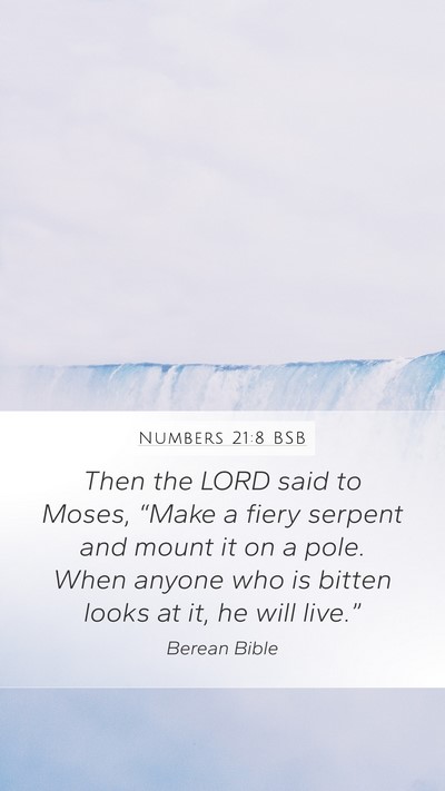 Numbers 21:8 BSB Bible Verse Image
