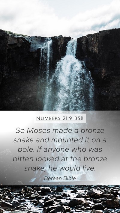 Numbers 21:9 BSB Mobile Phone Wallpaper - So Moses made a bronze snake and mounted it on a - Mobile Bible Verse Wallpaper