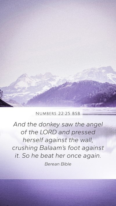 Numbers 22:25 BSB Mobile Phone Wallpaper - And the donkey saw the angel of the LORD and - Mobile Bible Verse Wallpaper
