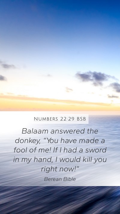 Numbers 22:29 BSB Bible Verse Image