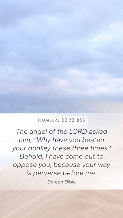 Numbers 22:32 BSB Mobile Phone Wallpaper - The angel of the LORD asked him, “Why have you - Mobile Bible Verse Wallpaper