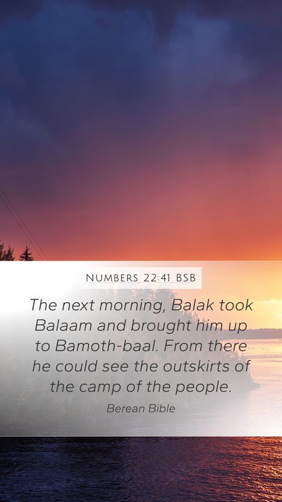 Numbers 22:41 BSB Bible Verse Image