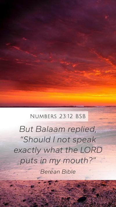 Numbers 23:12 BSB Bible Verse Image