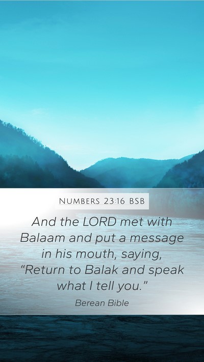 Numbers 23:16 BSB Mobile Phone Wallpaper - And the LORD met with Balaam and put a message in - Mobile Bible Verse Wallpaper