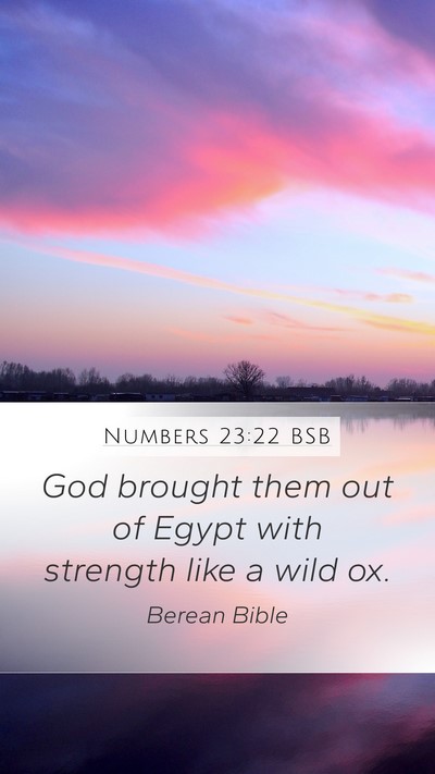 Numbers 23:22 BSB Bible Verse Image