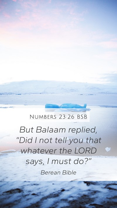 Numbers 23:26 BSB Bible Verse Image