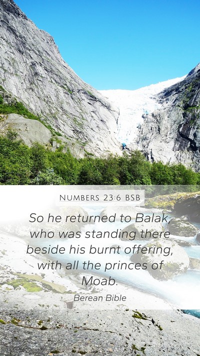 Numbers 23:6 BSB Bible Verse Image