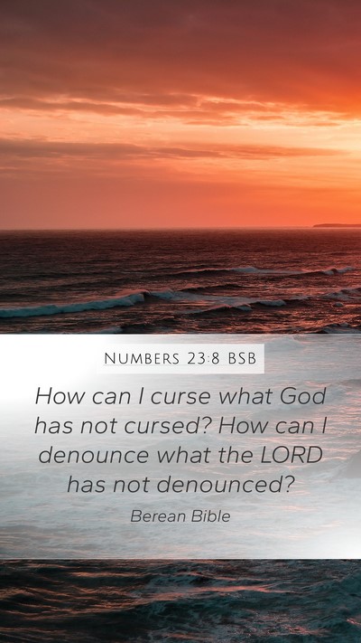 Numbers 23:8 BSB Mobile Phone Wallpaper - How can I curse what God has not cursed? How can - Mobile Bible Verse Wallpaper